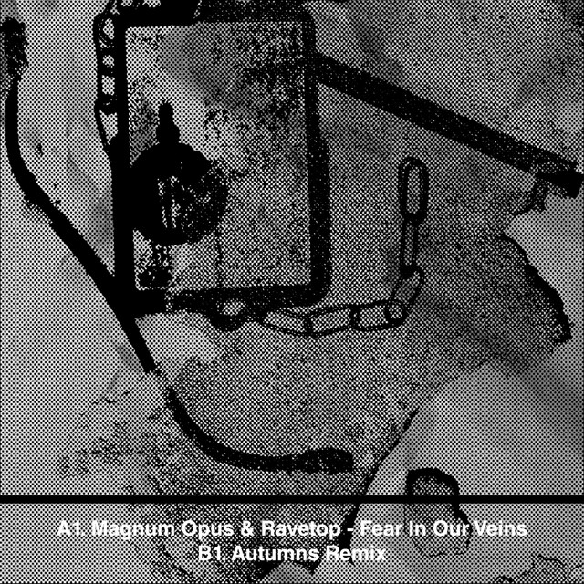 Fear In Our Veins - Autumns Remix