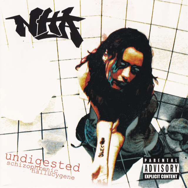 undigested schizophrenic hallucygene cover art