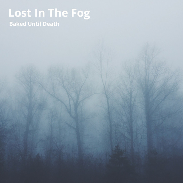 Lost in the Fog - Single by Baked Until Death | Spotify