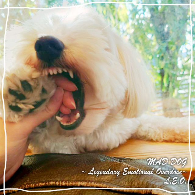 MAD DOG ~Legendary Emotional Overdose~ cover art