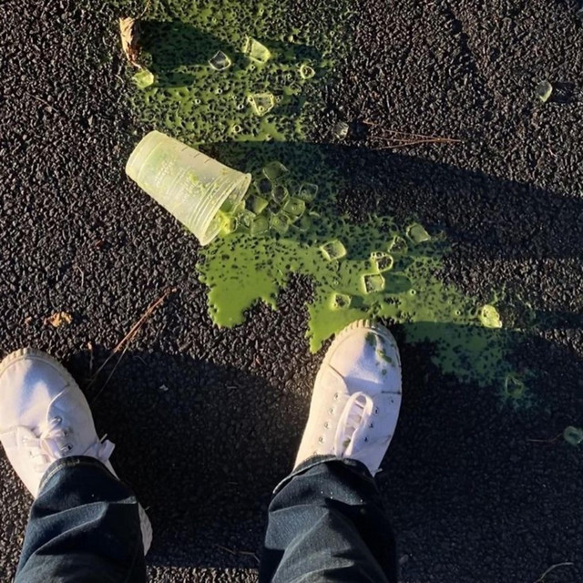 MATCHA cover art