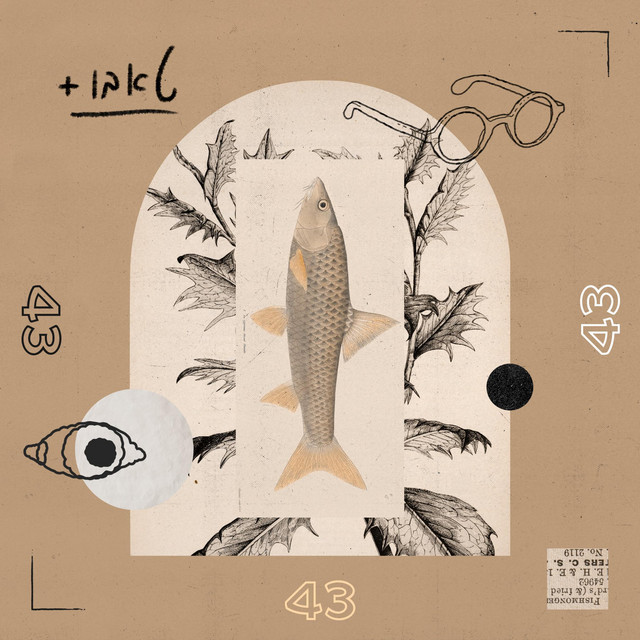 43