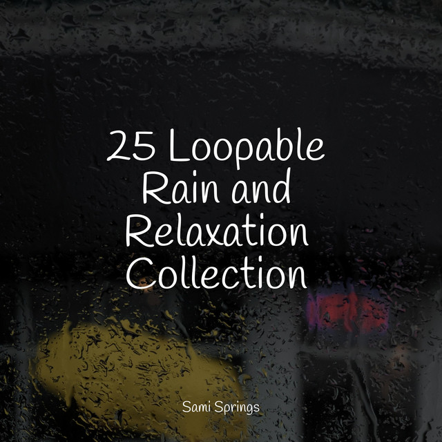 25 Loopable Rain and Relaxation Collection - Album by ASMR Sleep Sounds ...