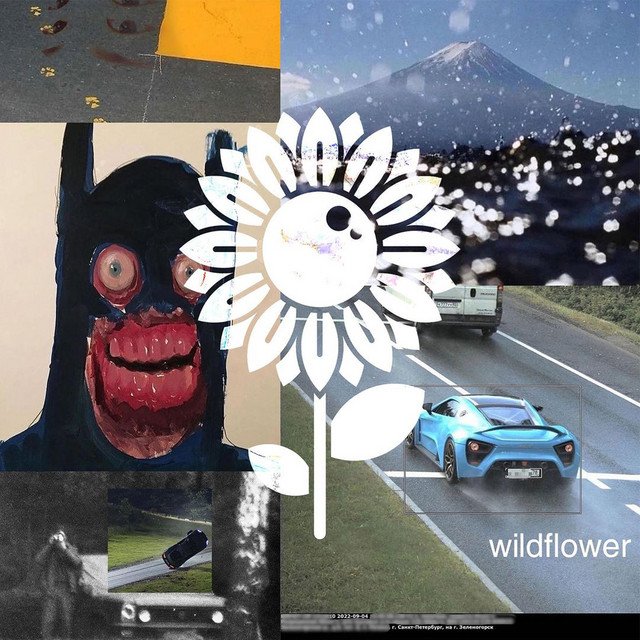 wildflower cover art