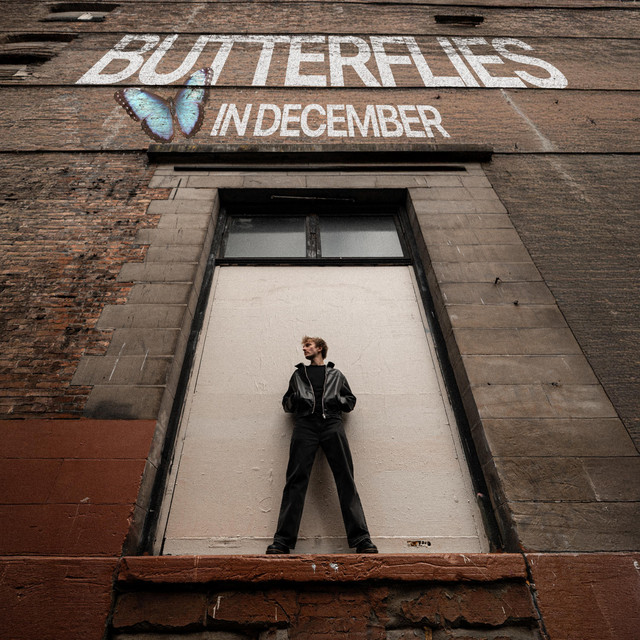 BUTTERFLIES IN DECEMBER cover art