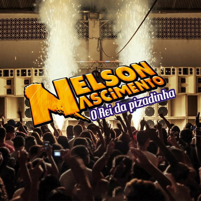 O Rei da Pisadinha cover art