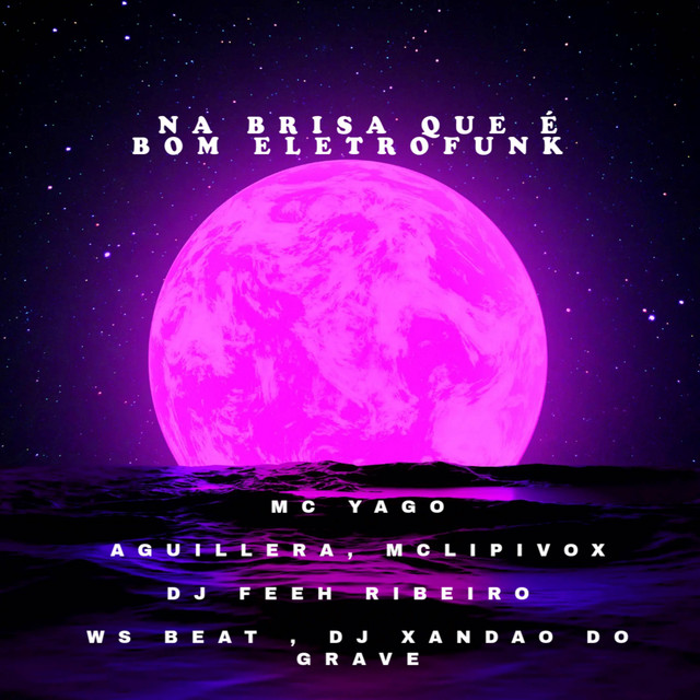 NA BRISA QUE É BOM VS O CHEIRO DO SKUNK - ELETROFUNK