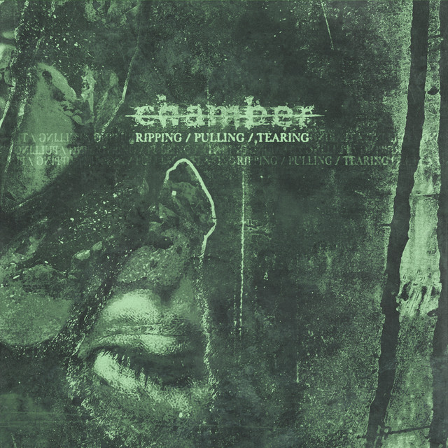 Ripping / Pulling / Tearing cover art