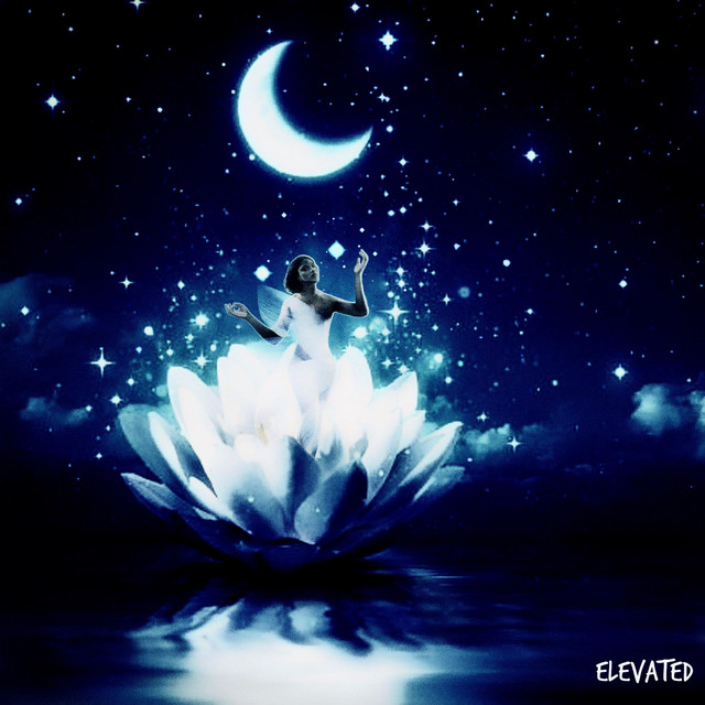 Elevated cover art