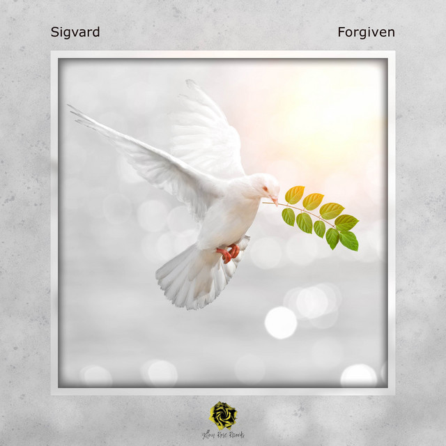 Forgiven