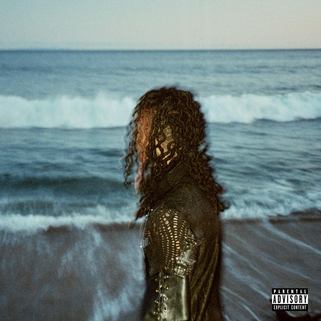 WAVS cover art
