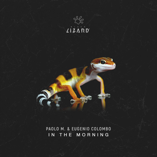 In The Morning - Extended Mix album art