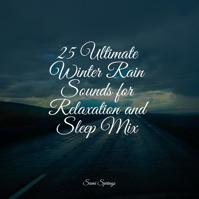 25 Ultimate Winter Rain Sounds for Relaxation and Sleep Mix - Album by ...