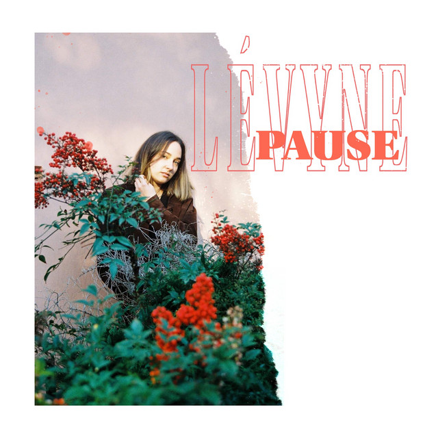 Pause cover art