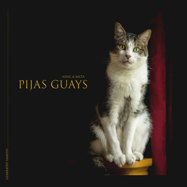 Pijas Guays cover art