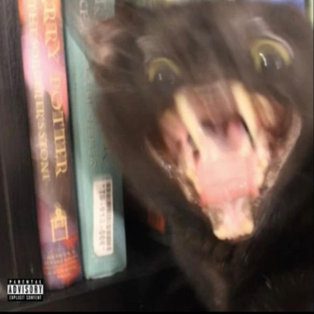 A Cold Summer cover art