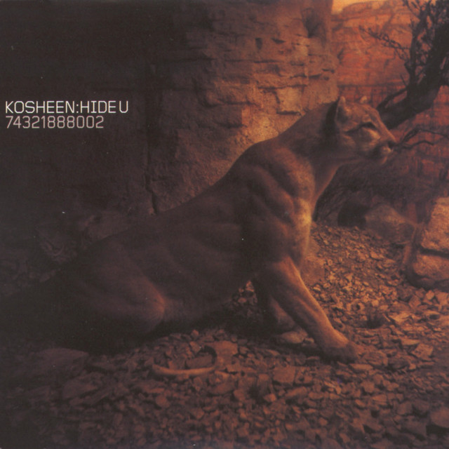 Hide U cover art
