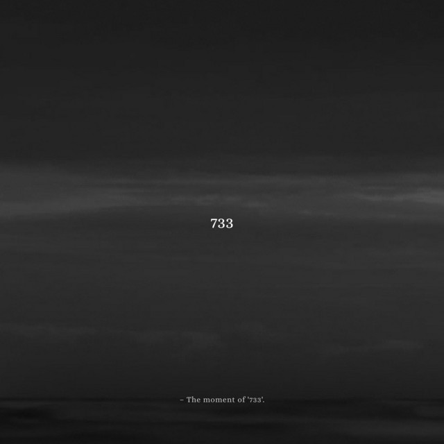 733