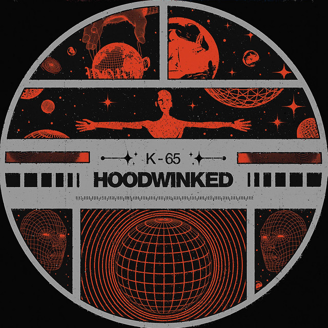 Hoodwinked cover