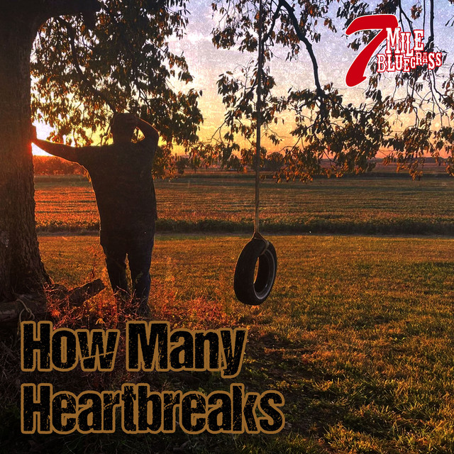 How Many Heartbreaks cover art