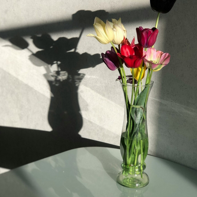 Un Poco de Primavera album image