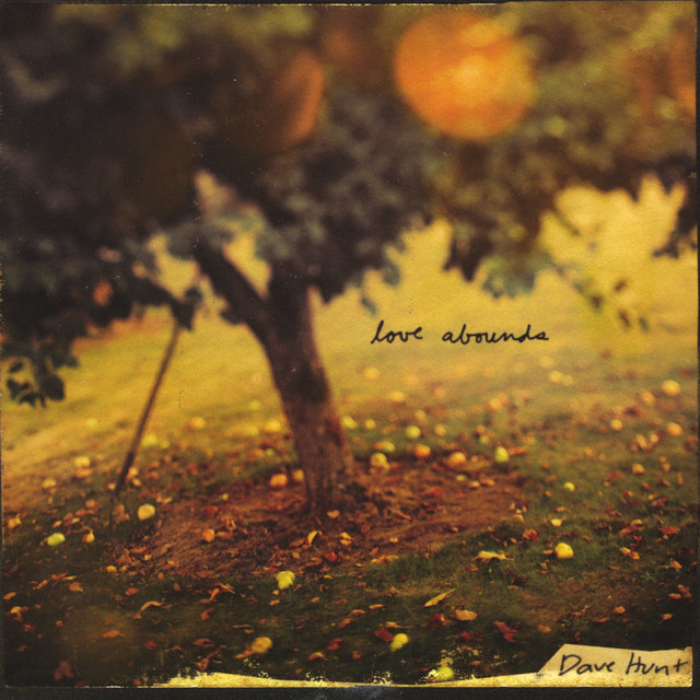 Love Abounds cover art