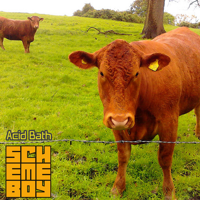 Acid Bath cover