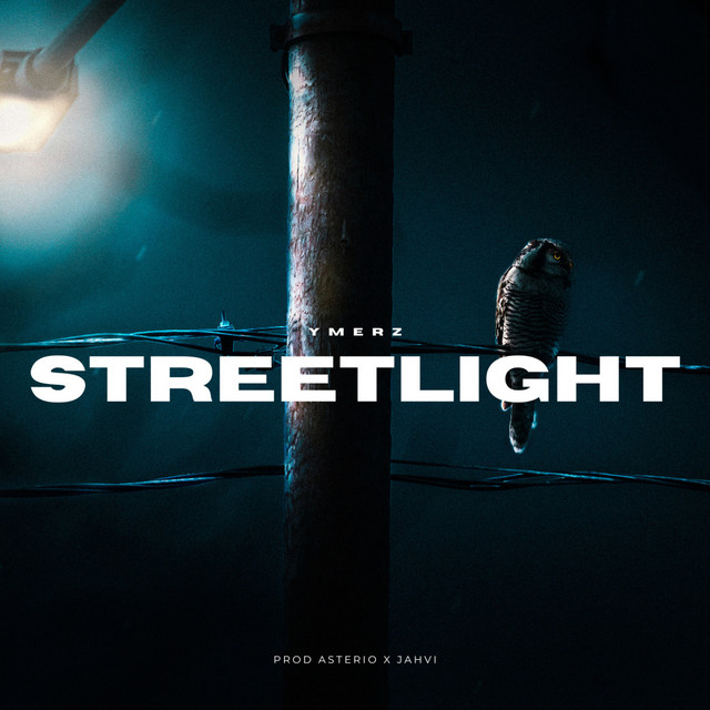 Streetlight cover