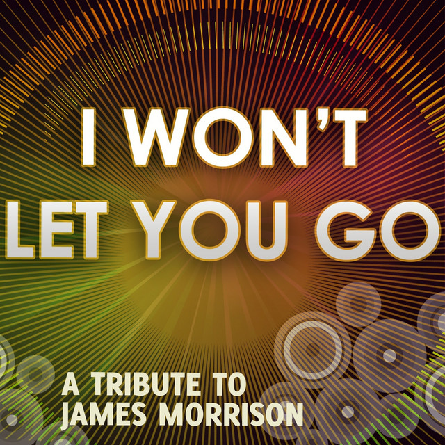 I Won't Let You Go - Instrumental Tribute to James Morrison - song and ...