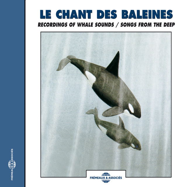 Le Chant Des Baleines