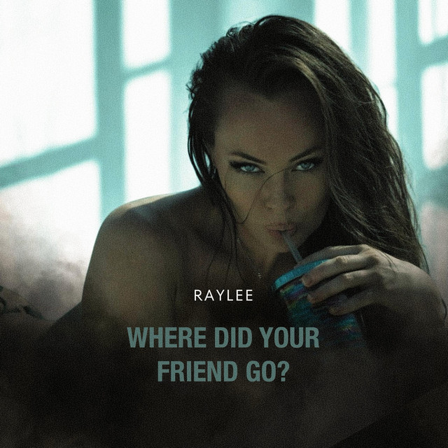 Where Did Your Friend Go? cover art