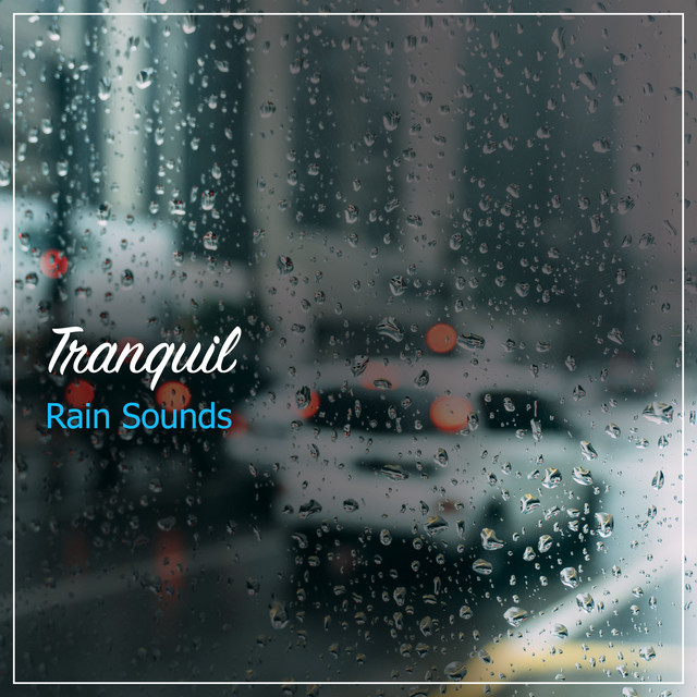 20 Tranquil Rain Sounds to Chill Out cover art
