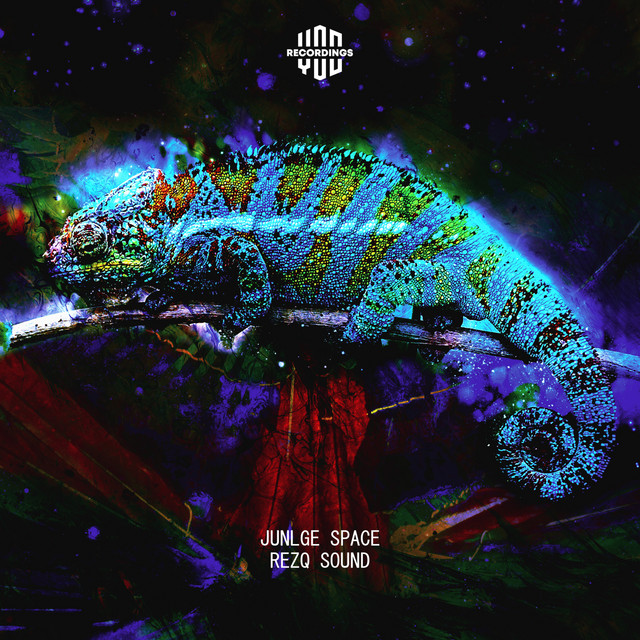 Обкладинка: Jungle Space — RezQ Sound