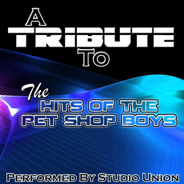 A Tribute to the Hits of The Pet Shop Boys cover art