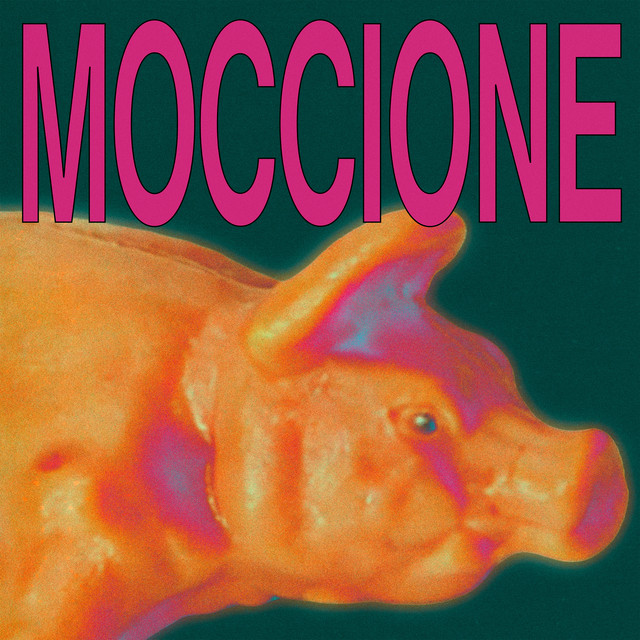 MOCCIONE