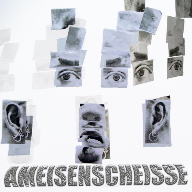 Ameisenscheisse cover art