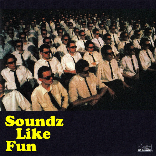 Soundz Like Fun cover art