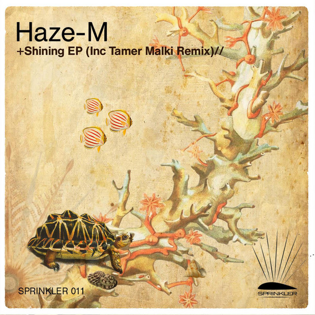 Intrigue - Tamer Malki Remix