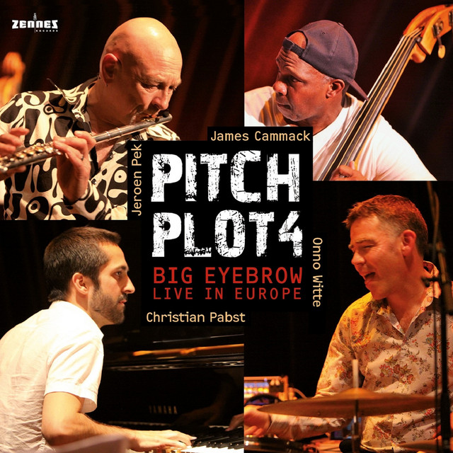 Pitch Plot 4 - Big Eyebrow (Live in Europe 2016)