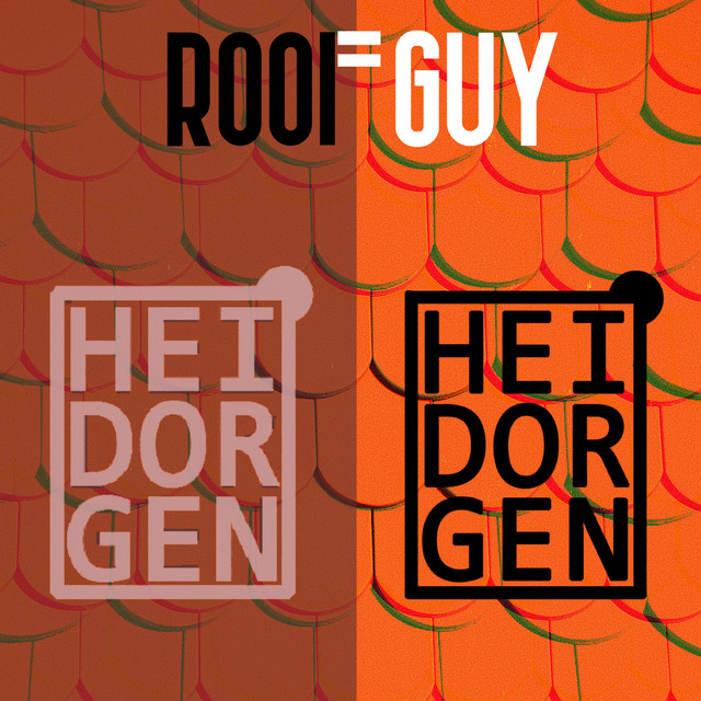 Roofguy cover art