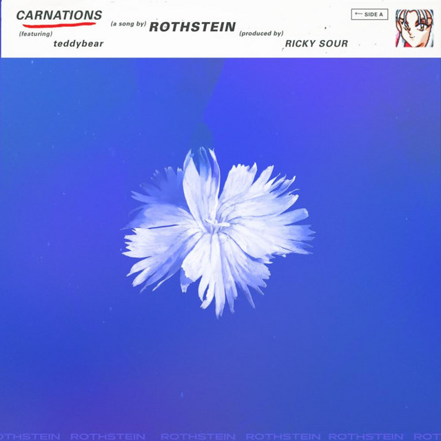 Carnations cover art