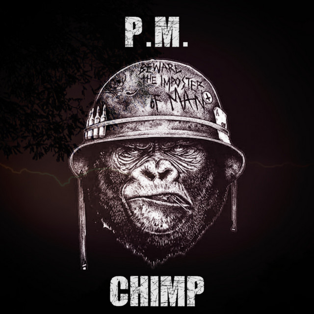 Chimp cover art