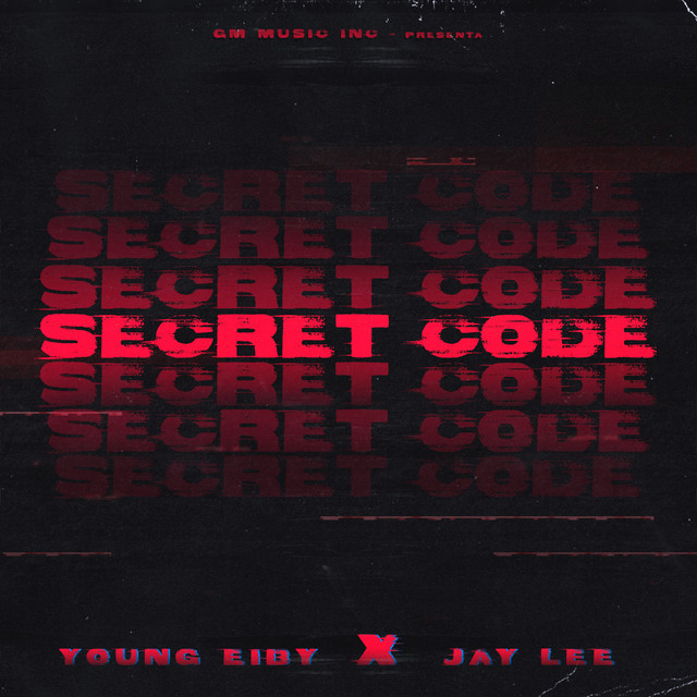 Secret Code cover art