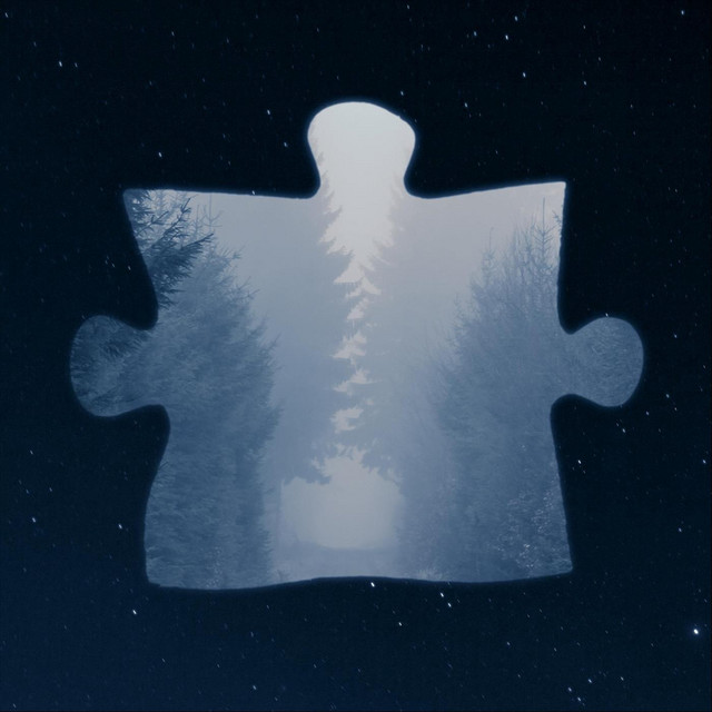 Puzzle Mind cover