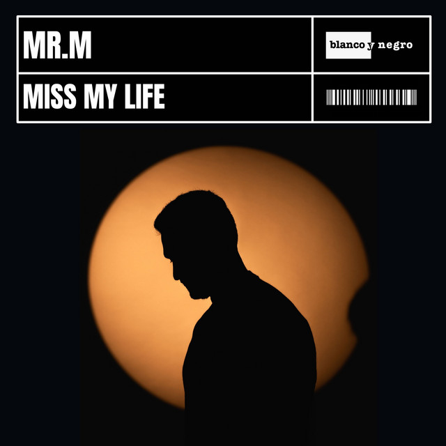 Miss My Life album image