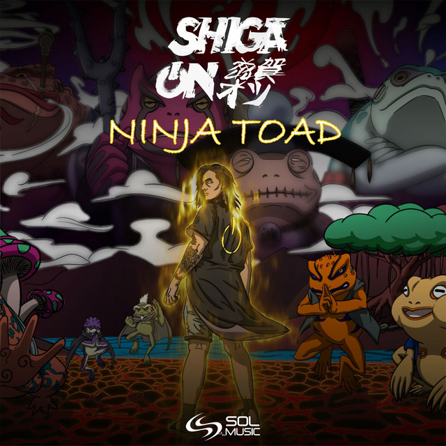 Ninja Toad album art