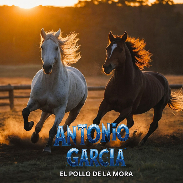 Mi Gabán Original cover