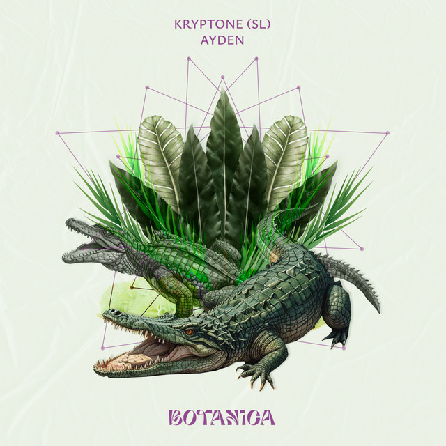 Ayden cover art
