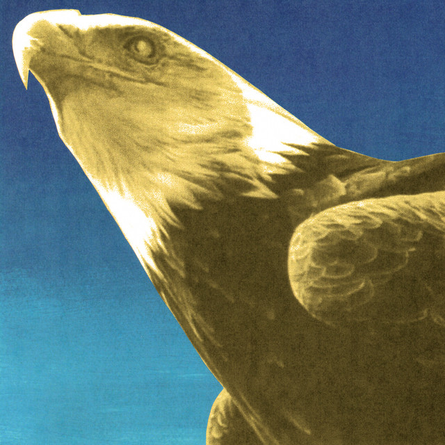 Exalted Eagles