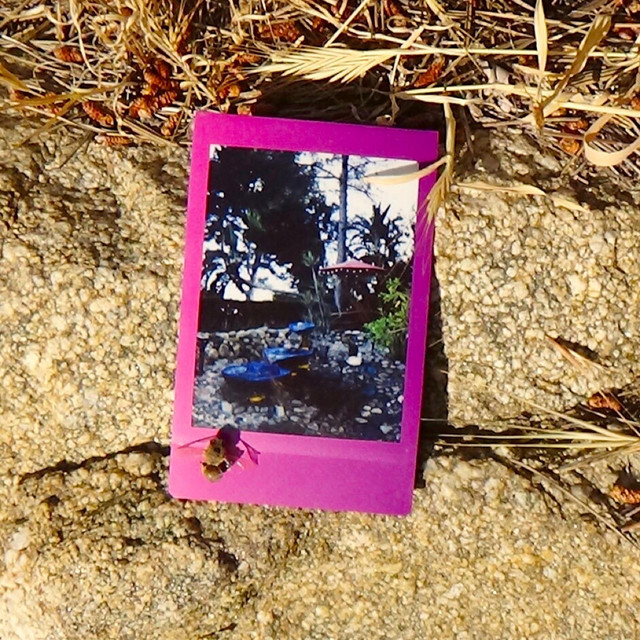 FaceValue cover art